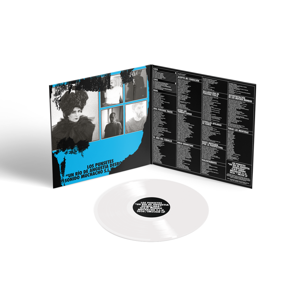 Los Punsetes - Un río de angustia desbocada (Vinilo Deluxe)