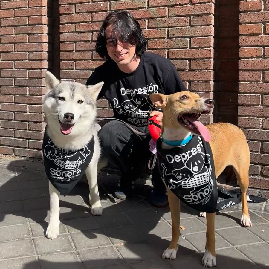 Depresión Sonora anuncia "La Balada de los Perros": merch para perros solidario y nueva canción este viernes