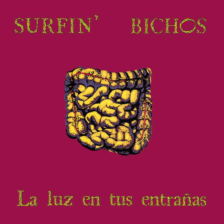 "La luz en tus entrañas": Surfin' Bichos celebra el 35º aniversario de su primer disco con una reedición especial en vinilo