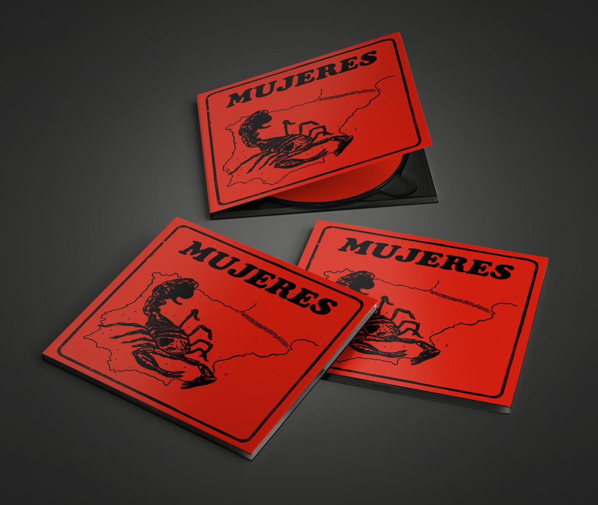 Mujeres - Un Sentimiento Importante