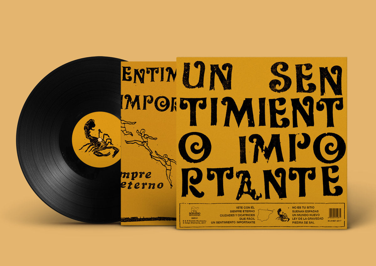 Mujeres - Un Sentimiento Importante