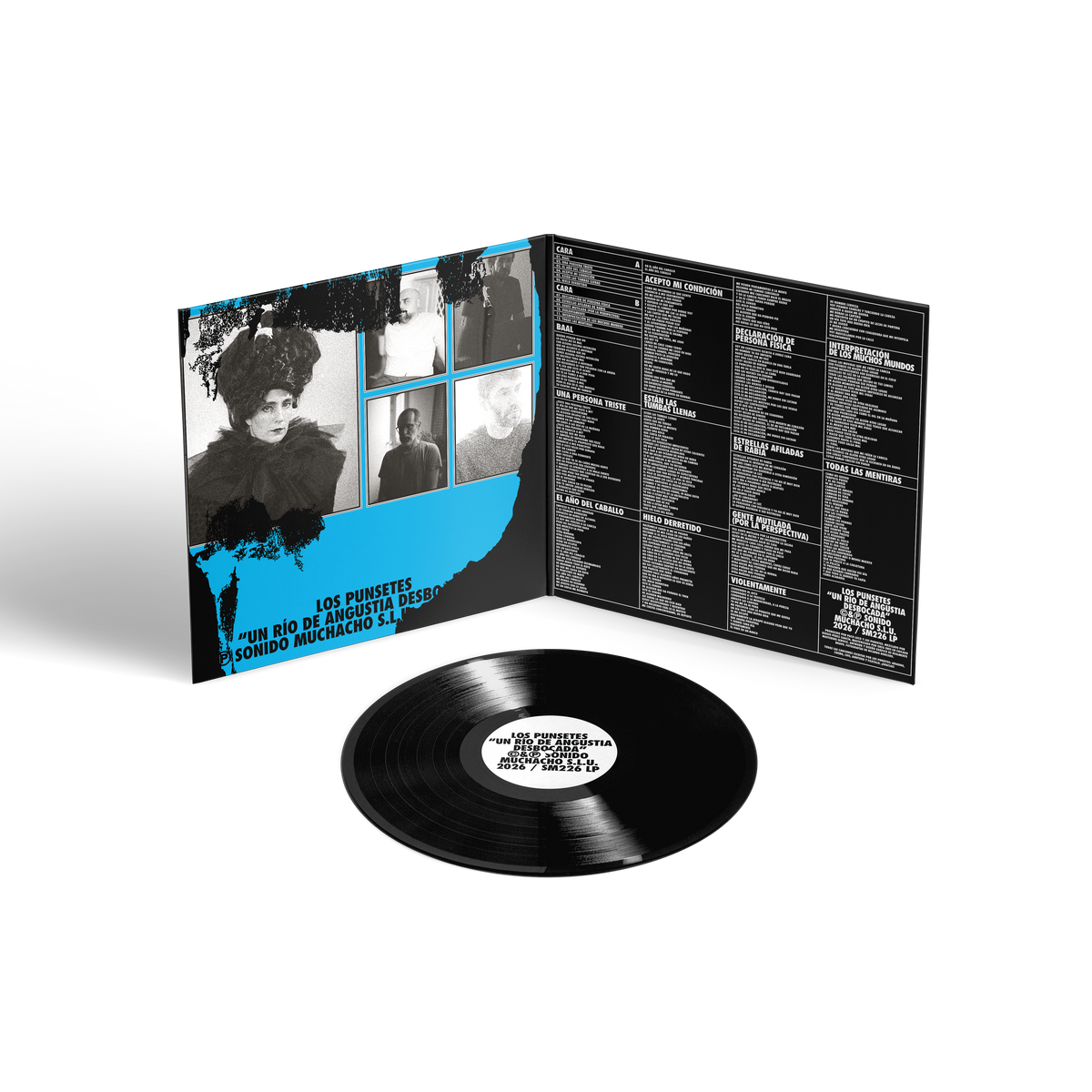 Los Punsetes - Un río de angustia desbocada (Vinilo)