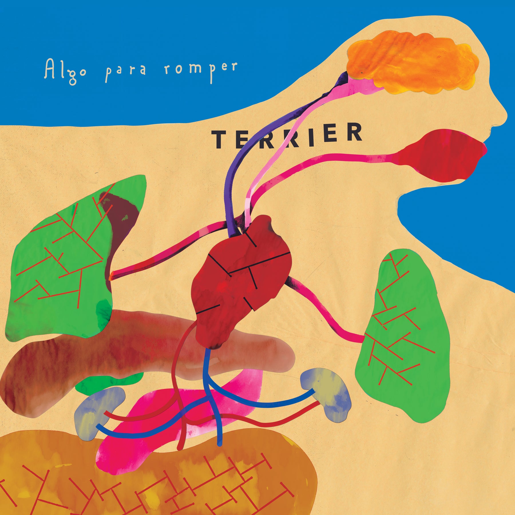 Terrier - Algo para romper