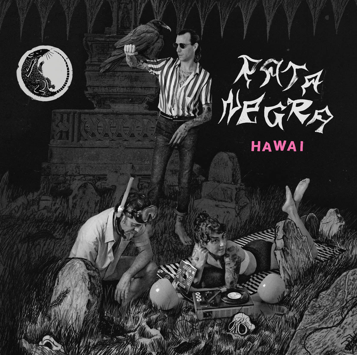 Rata Negra "Hawai"