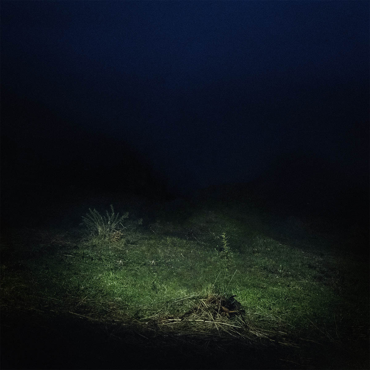 Sen Senra - PO 2054 AZ VOL. 2