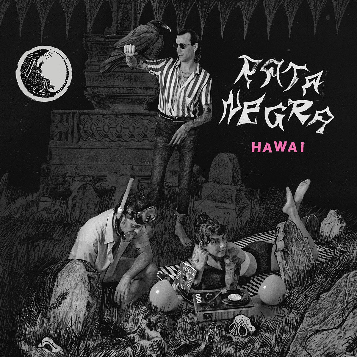 Rata Negra "Hawai"